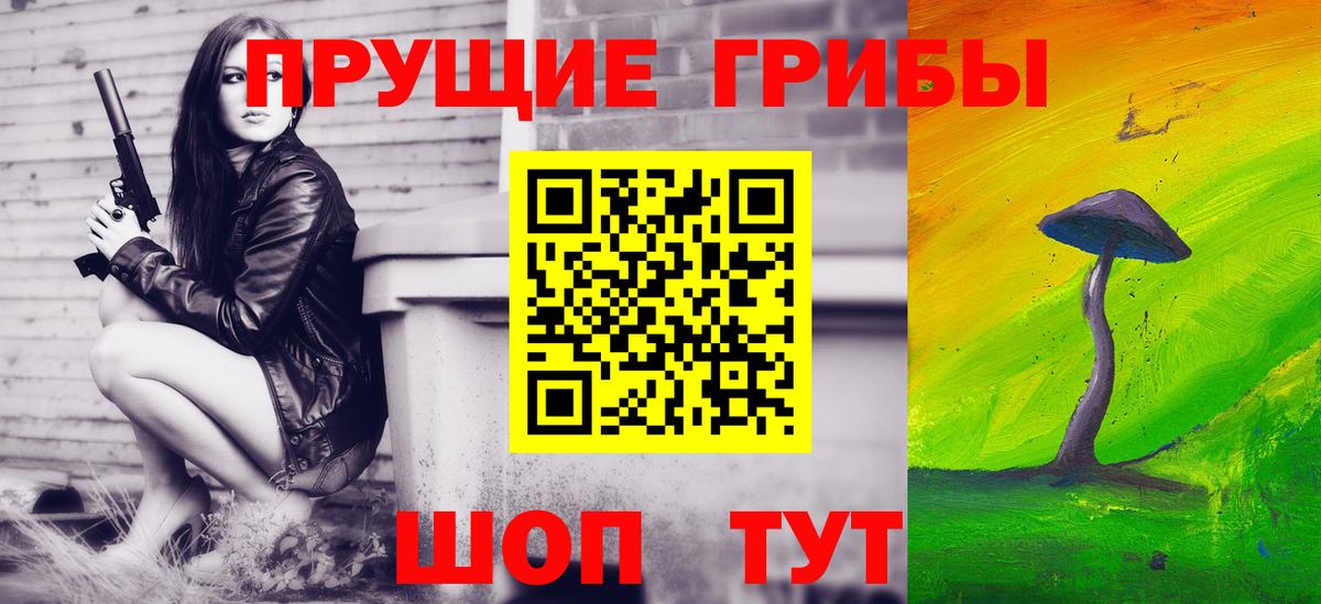 Псилоцибиновые грибы Psilocybine cubensis Воскресенск