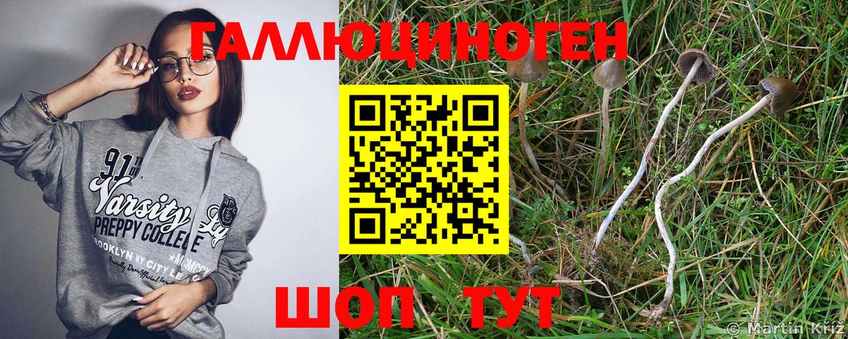Воскресенск  Галлюциногенные грибы мухоморы  Вход с VPN 
